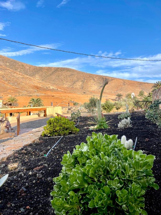 La Casita Del Mojino Daire Betancuría Dış mekan fotoğraf